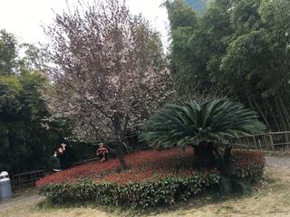 IMG_4073.jpg