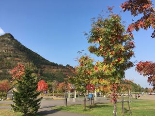 IMG_5025.jpg