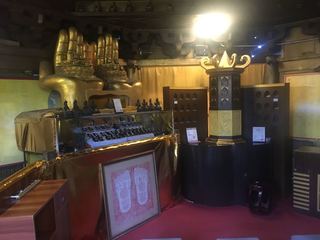 IMG_5910.jpg