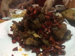 IMG_5920.jpg
