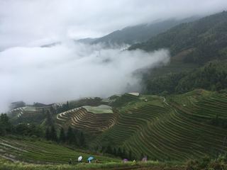 IMG_6031.jpg